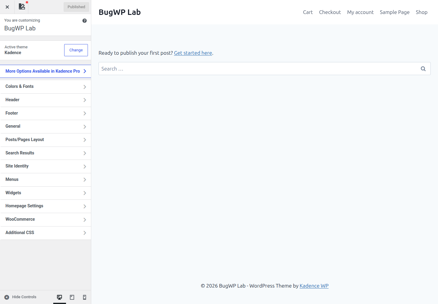 How to Add Custom CSS to WordPress Safely: theme customizer